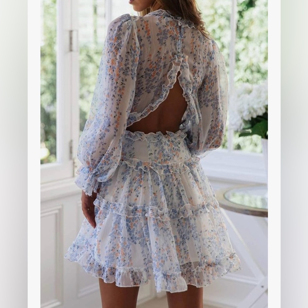 Open back long sleeve fairy sheer floral ruffle mini dress, white blue small